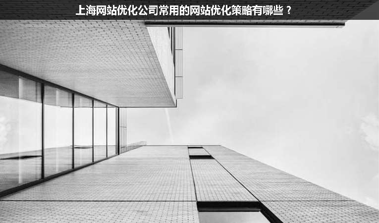 上海網站優化公司常用的網站優化策略有哪些？